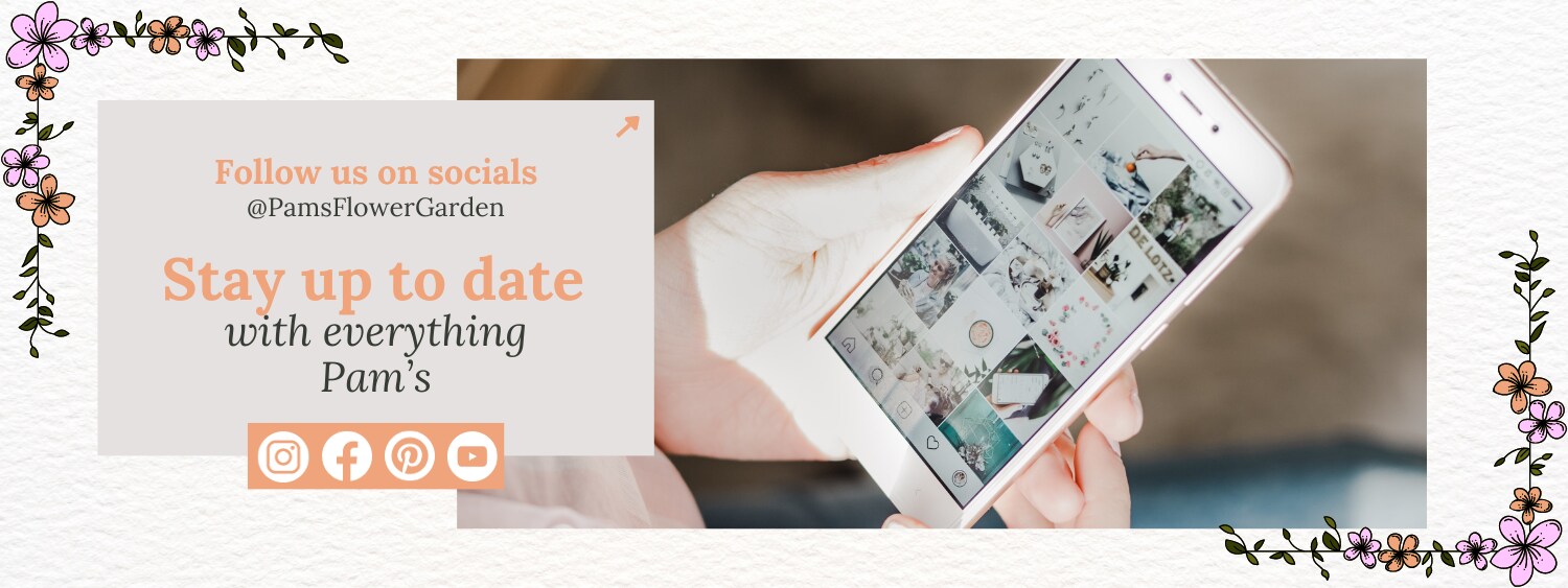 Flower Delivery Kingston Ontario Canada Best Flower Site